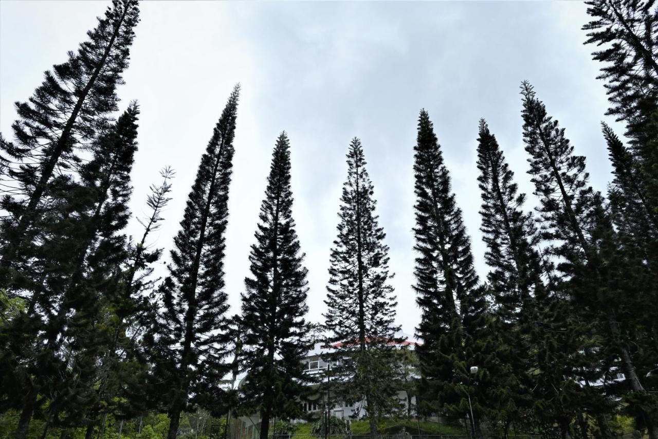 The Pines At Fraser'S Hill, Malaysia Fraser Hill Exterior photo